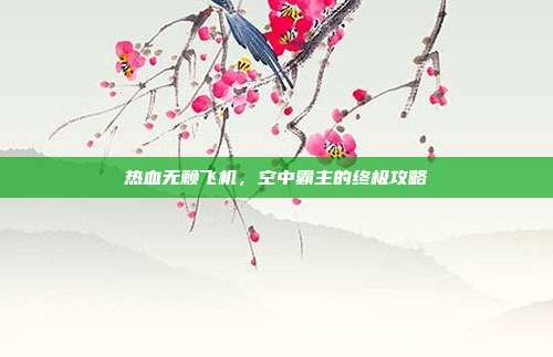 热血无赖飞机,空中霸主的终极攻略