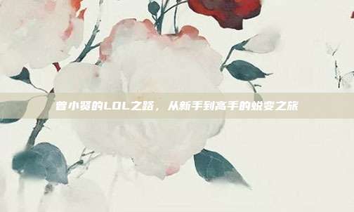 曾小贤的LOL之路，从新手到高手的蜕变之旅