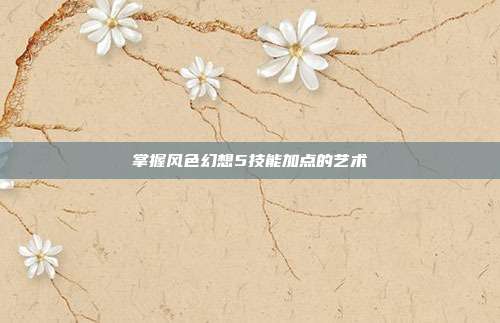 掌握风色幻想5技能加点的艺术