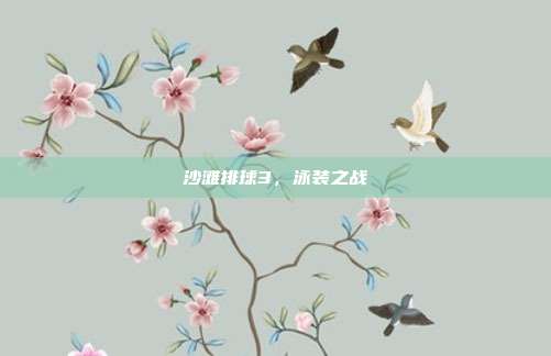 沙滩排球3,泳装之战