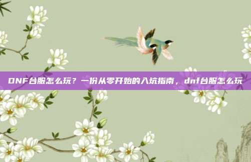 DNF台服怎么玩？一份从零开始的入坑指南，dnf台服怎么玩