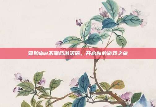 冒险岛2不删档激活码，开启你的游戏之旅