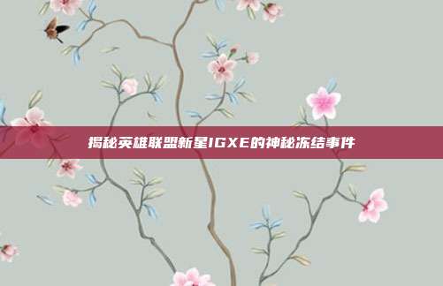揭秘英雄联盟新星IGXE的神秘冻结事件