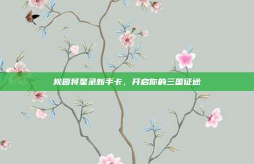 桃园将星录新手卡，开启你的三国征途