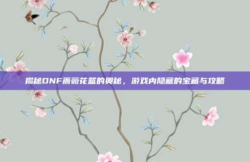 揭秘DNF蔷薇花篮的奥秘,游戏内隐藏的宝藏与攻略