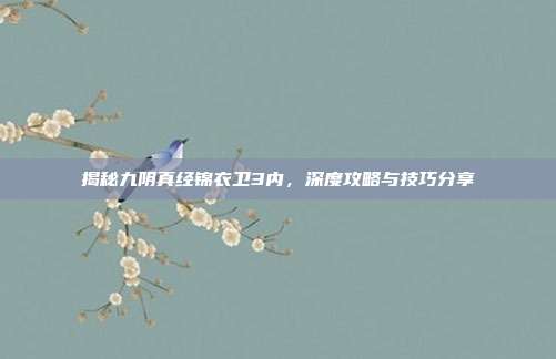 揭秘九阴真经锦衣卫3内,深度攻略与技巧分享