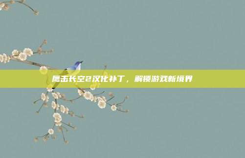 鹰击长空2汉化补丁，解锁游戏新境界