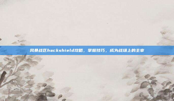 风暴战区hackshield攻略，掌握技巧，成为战场上的主宰