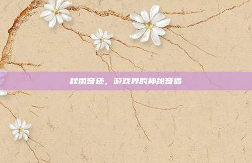 秋雨奇迹,游戏界的神秘奇遇