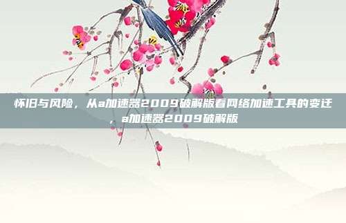怀旧与风险，从a加速器2009破解版看网络加速工具的变迁，a加速器2009破解版