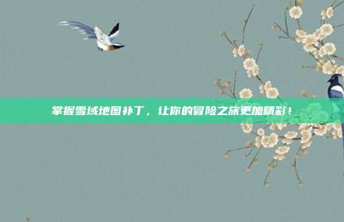 掌握雪域地图补丁,让你的冒险之旅更加精彩!