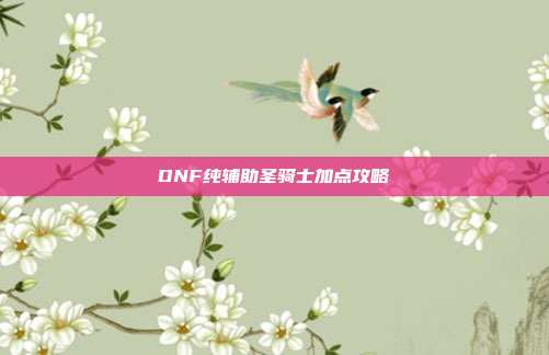 DNF纯辅助圣骑士加点攻略
