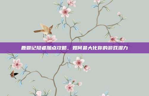 鹿鼎记隐者加点攻略,如何最大化你的游戏潜力