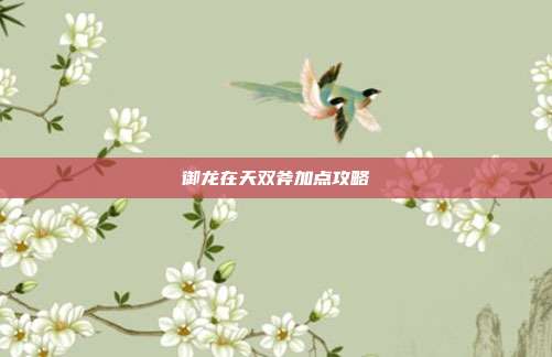 御龙在天双斧加点攻略