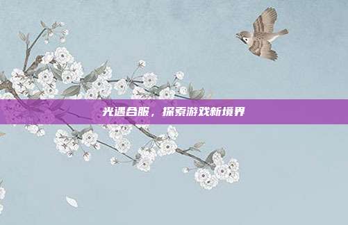 光遇合服,探索游戏新境界
