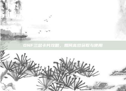 DNF兰总卡片攻略,如何高效获取与使用