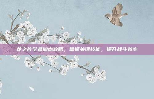 龙之谷学者加点攻略,掌握关键技能,提升战斗效率