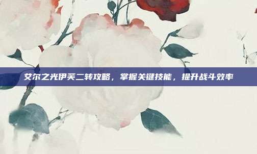 艾尔之光伊芙二转攻略,掌握关键技能,提升战斗效率