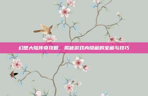 幻想大陆传奇攻略,揭秘游戏内隐藏的宝藏与技巧