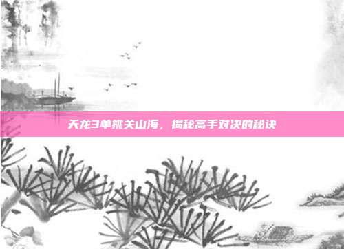 天龙3单挑关山海,揭秘高手对决的秘诀