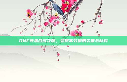 DNF传承合成攻略,如何高效利用装备与材料