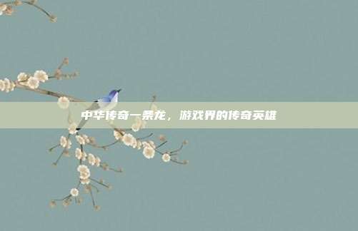 中华传奇一条龙,游戏界的传奇英雄
