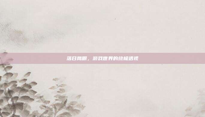 落日鹰眼,游戏世界的终极透视