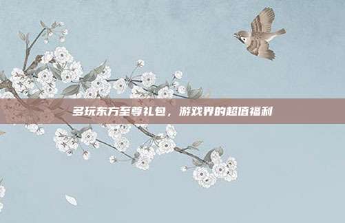 多玩东方至尊礼包,游戏界的超值福利