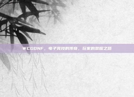 WCGDNF,电子竞技的传奇,玩家的荣耀之路