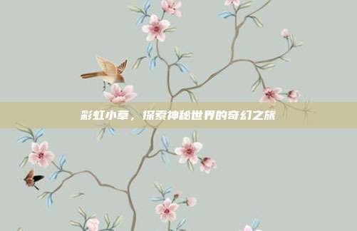 彩虹小草,探索神秘世界的奇幻之旅