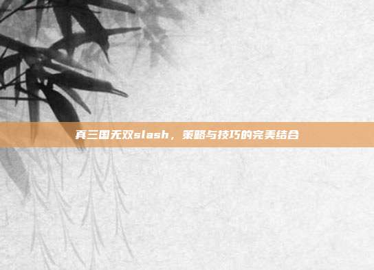 真三国无双slash,策略与技巧的完美结合