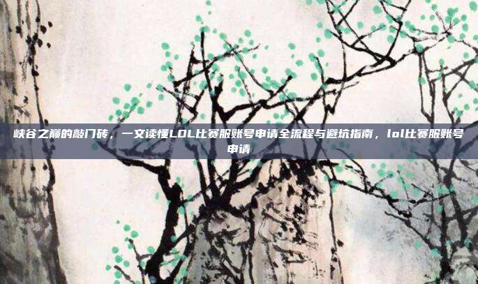 峡谷之巅的敲门砖，一文读懂LOL比赛服账号申请全流程与避坑指南，lol比赛服账号申请