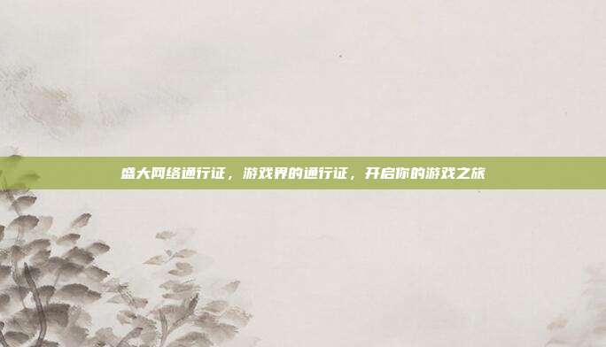 盛大网络通行证,游戏界的通行证,开启你的游戏之旅