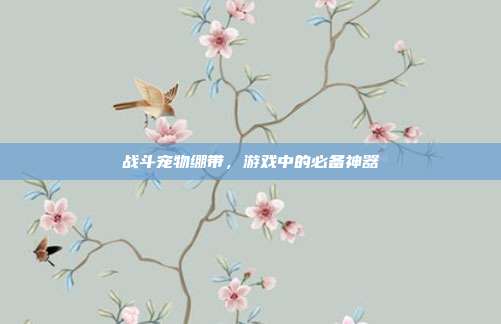 战斗宠物绷带,游戏中的必备神器