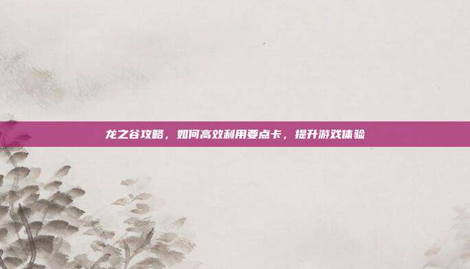 龙之谷攻略，如何高效利用要点卡，提升游戏体验