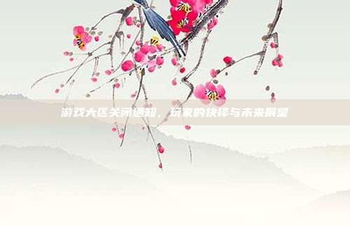 游戏大区关闭通知,玩家的抉择与未来展望