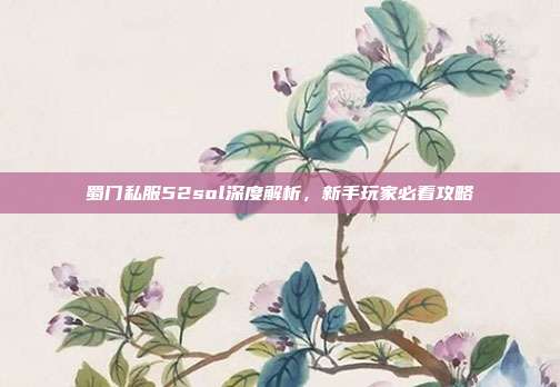 蜀门私服52sol深度解析，新手玩家必看攻略