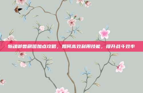 斩魂御兽刷图加点攻略,如何高效利用技能,提升战斗效率
