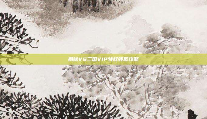 揭秘VS三国VIP特权领取攻略
