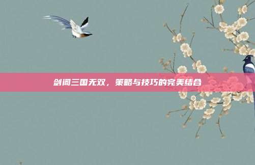 剑阁三国无双,策略与技巧的完美结合
