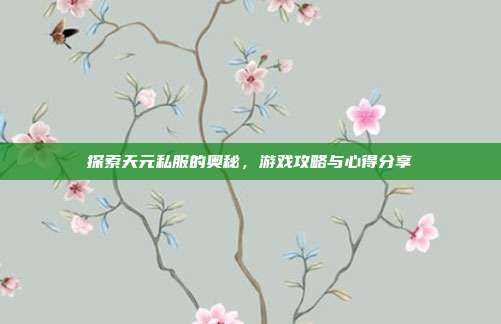 探索天元私服的奥秘,游戏攻略与心得分享