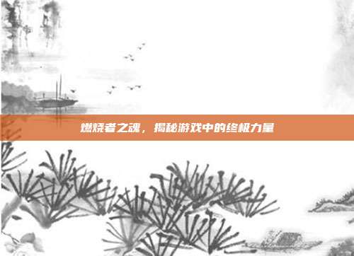 燃烧者之魂,揭秘游戏中的终极力量