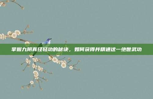 掌握九阴真经轻功的秘诀,如何获得并精通这一绝世武功