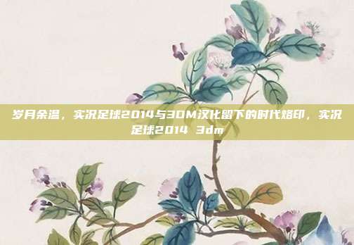 岁月余温，实况足球2014与3DM汉化留下的时代烙印，实况足球2014 3dm