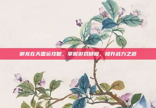御龙在天国运攻略,掌握游戏精髓,提升战力之道