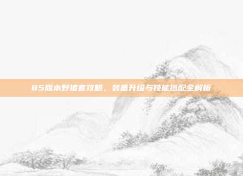 85版本野猪套攻略，装备升级与技能搭配全解析