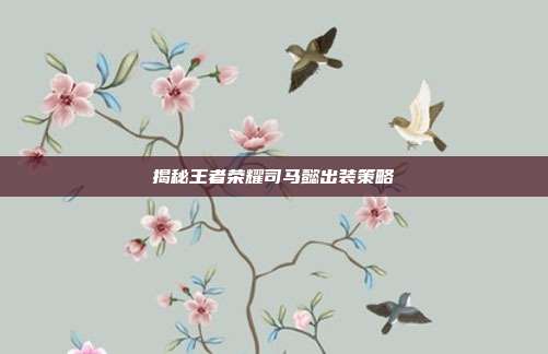 揭秘王者荣耀司马懿出装策略