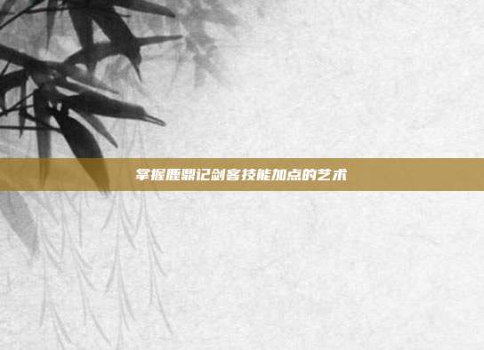 掌握鹿鼎记剑客技能加点的艺术