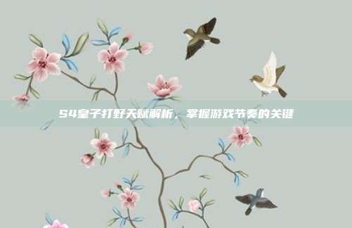 S4皇子打野天赋解析,掌握游戏节奏的关键