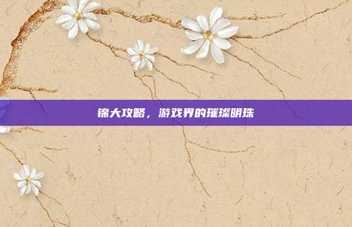 锦大攻略,游戏界的璀璨明珠